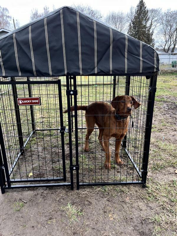 Lucky dog pet resort kennel best sale with cover