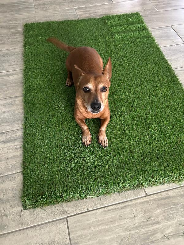 Bliss Hammocks Bliss Artificial Grass Dog Potty Train Mat Easy Clean ...