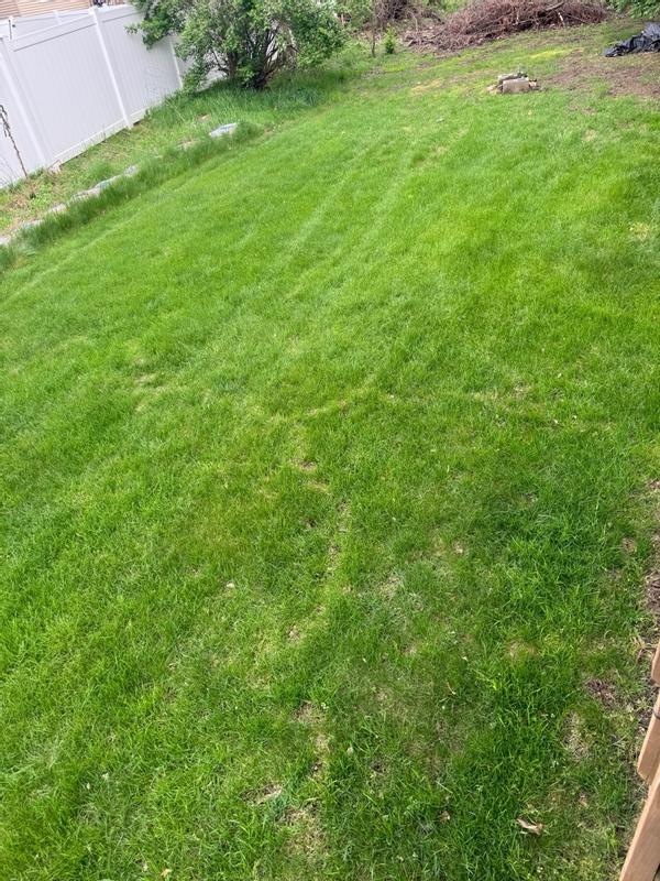 Review photo 2.