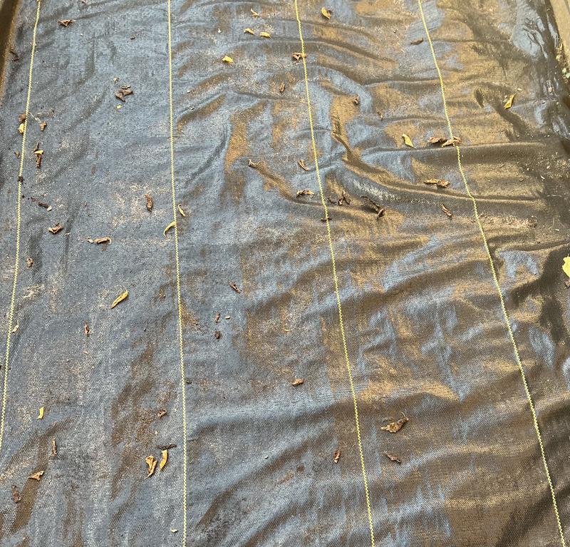 Applying Weed Barrier