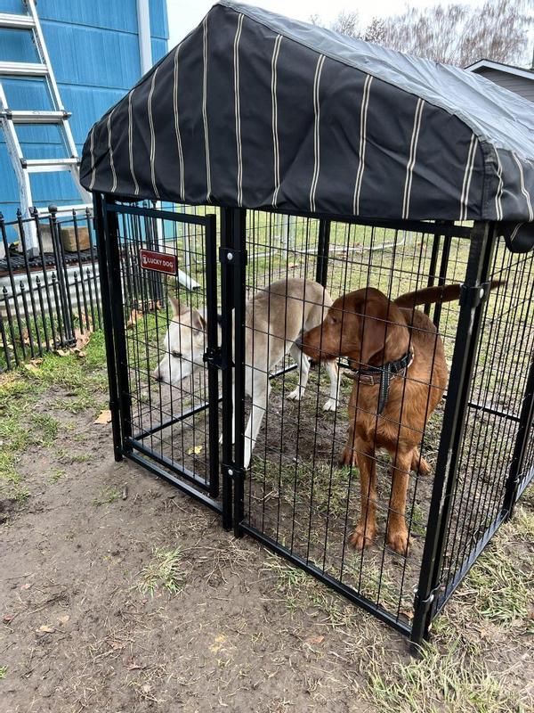 Lucky dog uptown large outdoor covered kennel store heavy duty pet dog cage fence pen