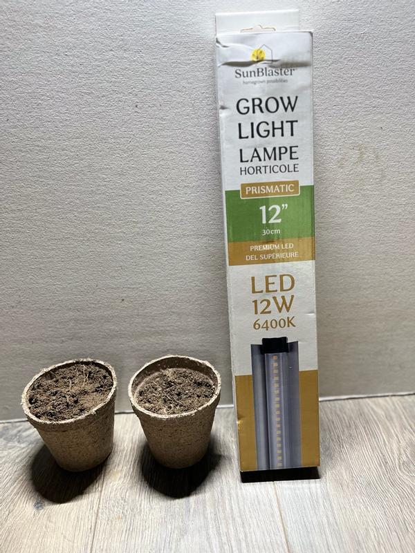 Photo - commentaire&nbsp;3.