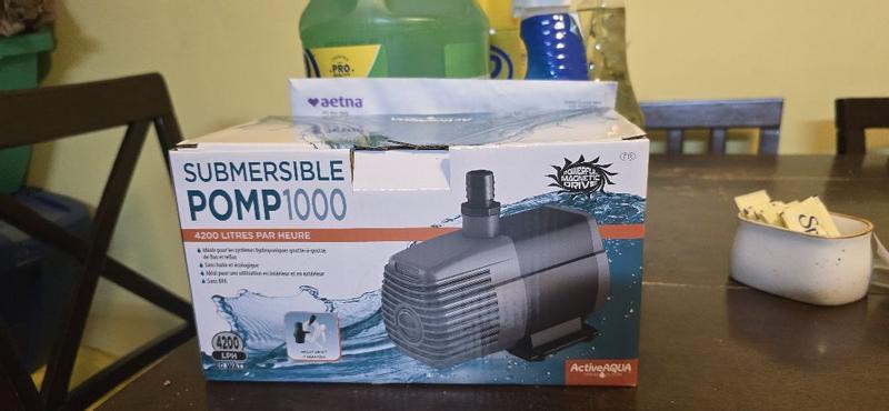 Cheers! アクア　SP Active Aqua 1 Count Planting/Growing accessory in the