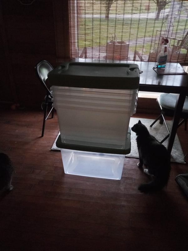 Photo from ksb38020