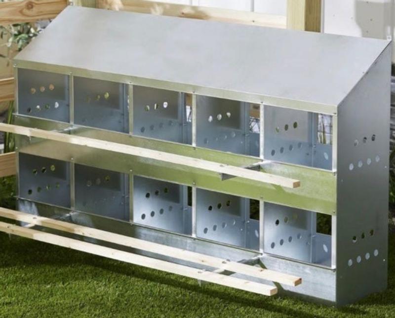 Brower 10-Hole Poultry Nest – Hühnerlegekasten Für Bis Zu 60 Hennen