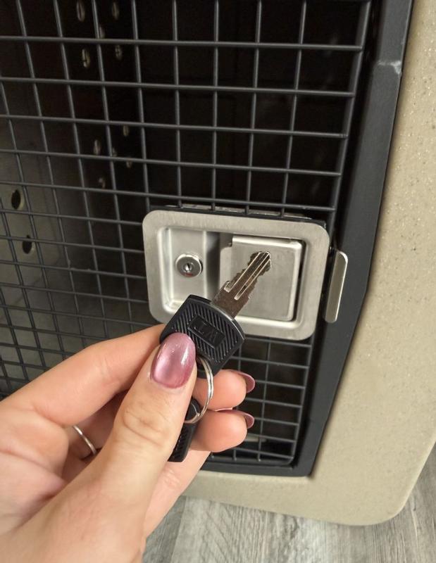 Photo - commentaire 4.