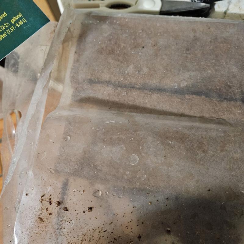 Photo - commentaire 5.