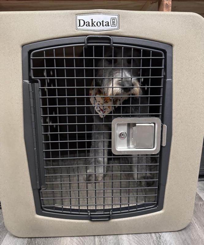 Photo - commentaire 1.