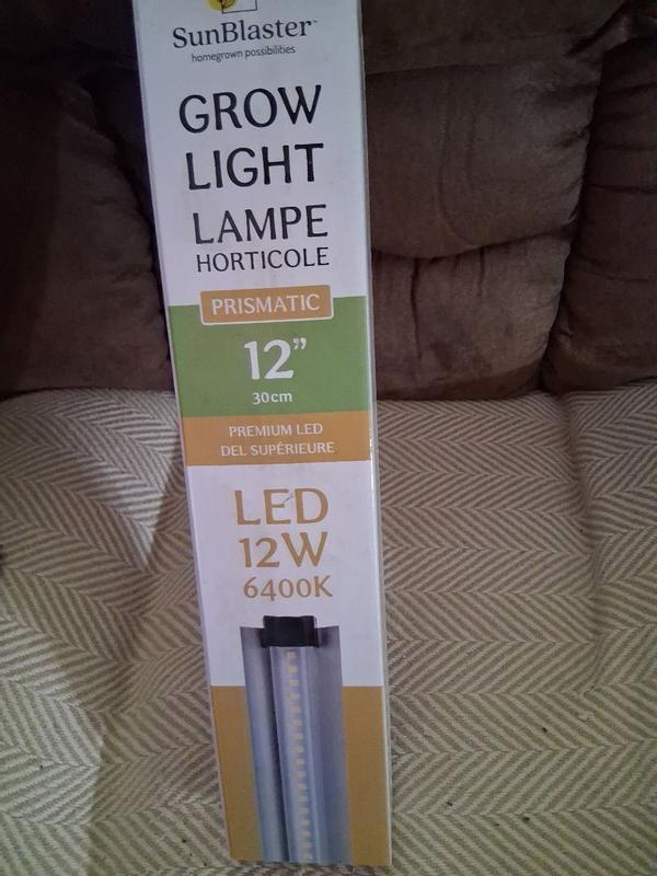 Photo - commentaire&nbsp;6.