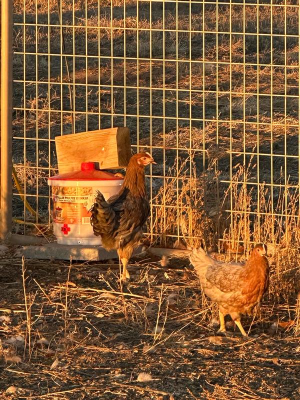 Photo - commentaire&nbsp;6.