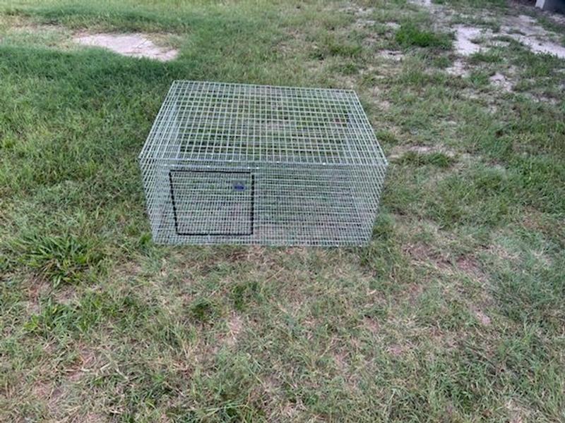 Little Giant Wire Rabbit Hutch Pet Lodge with Galvanized Body and Door ...