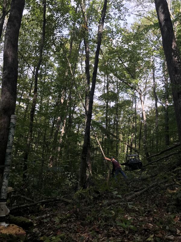 Clearing spot for buddy stand!