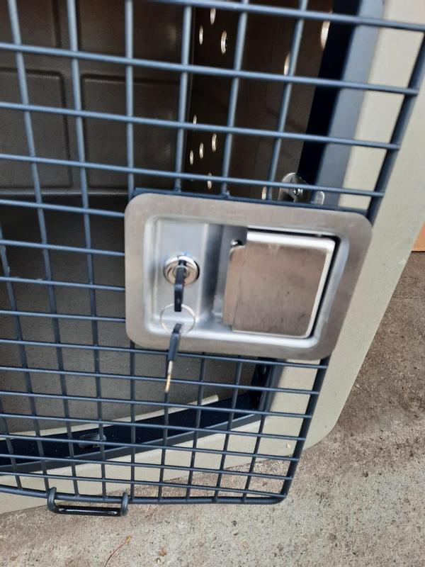 Photo - commentaire 5.