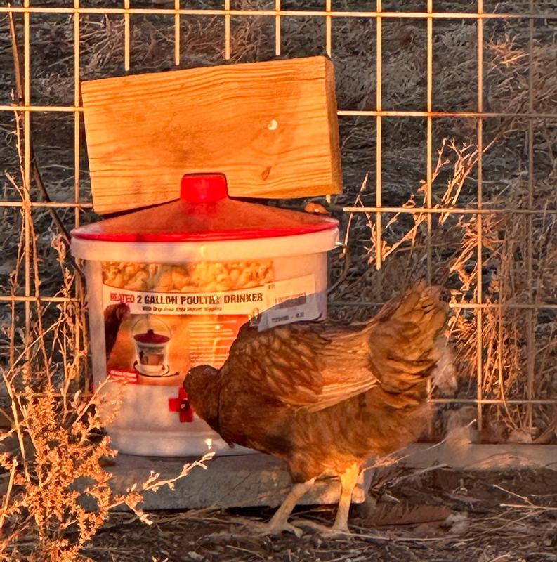 Photo - commentaire&nbsp;5.