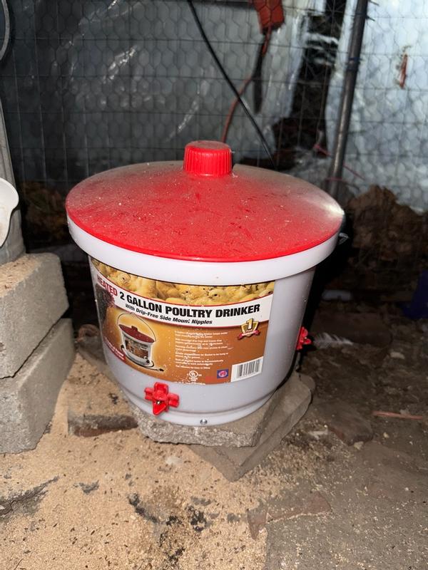 Photo - commentaire&nbsp;1.