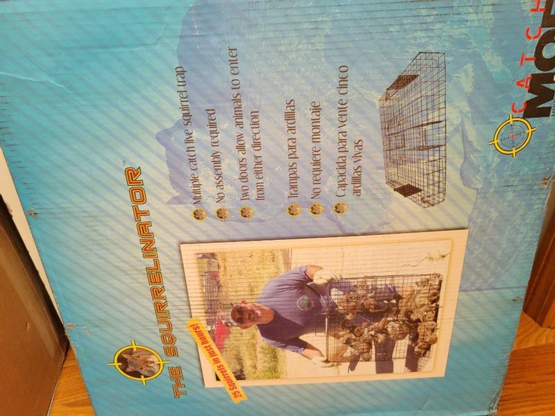 Review photo 4.