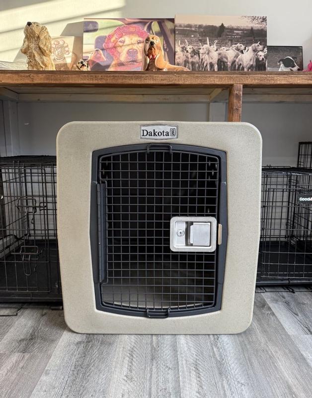 Photo - commentaire 3.