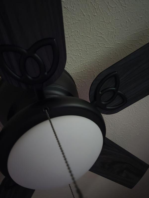 Review photo 3.