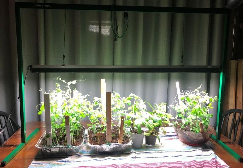 Photo - commentaire 2.