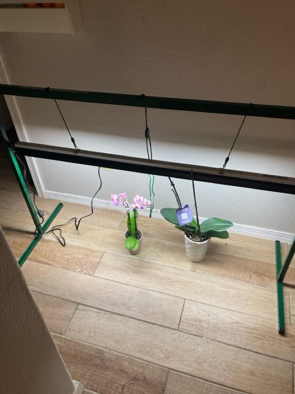 Photo - commentaire 1.