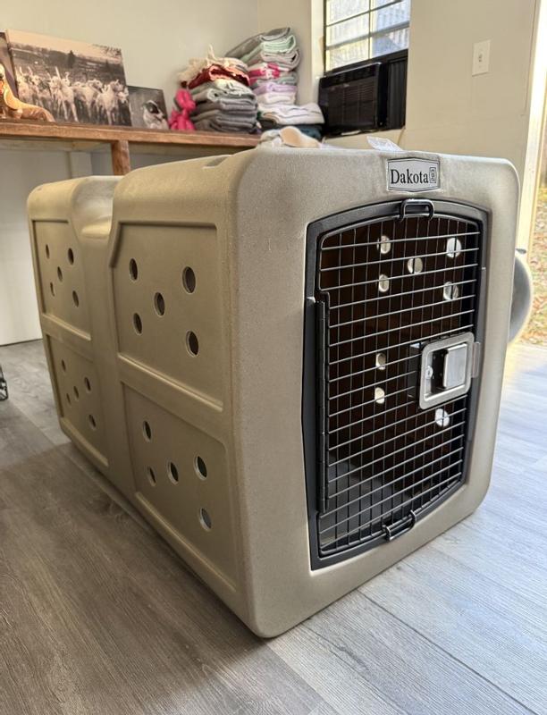 Photo - commentaire 2.