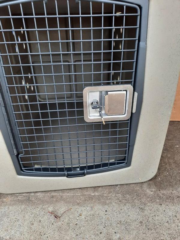 Photo - commentaire 7.