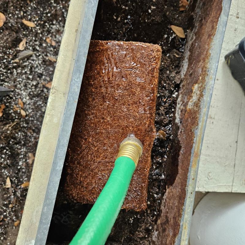 Photo - commentaire 1.