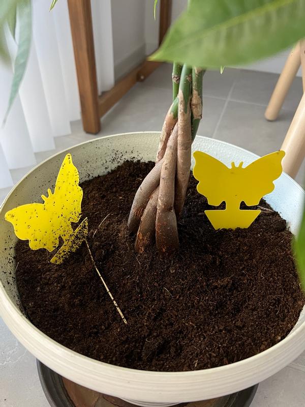 Photo - commentaire 3.