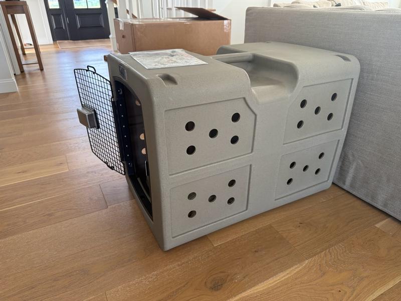 Photo - commentaire 8.