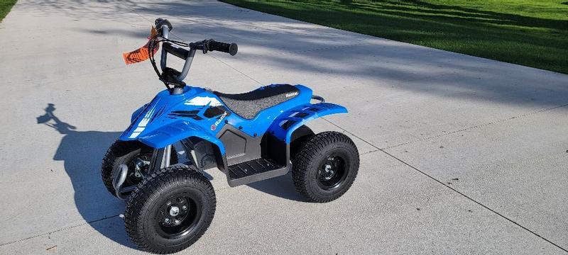 Razor Kids Electric Off Road Mini Dirt Quad Bike 4 Wheeler ATV 24 Volt buybuy BABY