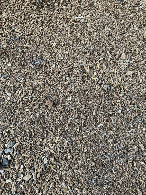 Photo - commentaire 2.