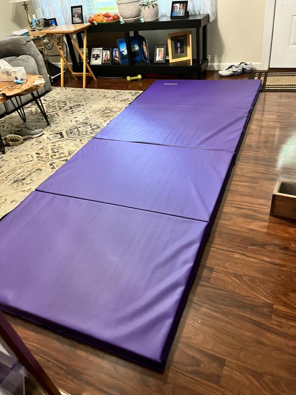 Balancefrom Vinyl 4-ft x 10-ft Equipment Mat in the Exercise