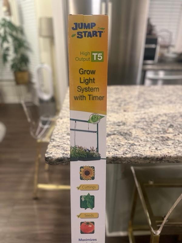 Photo - commentaire 4.