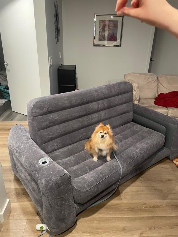 Photo from swechhag