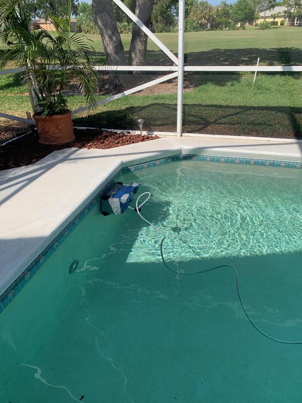 Climbing and scrubbing!