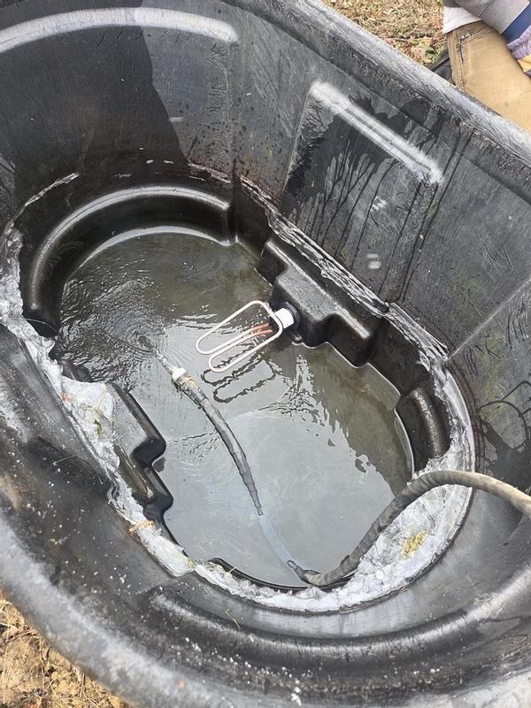 Photo - commentaire 3.