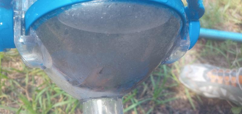 All the sand and trash vacuumed out of the pool