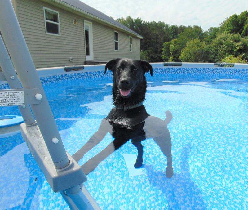 Customer carousel item 2.