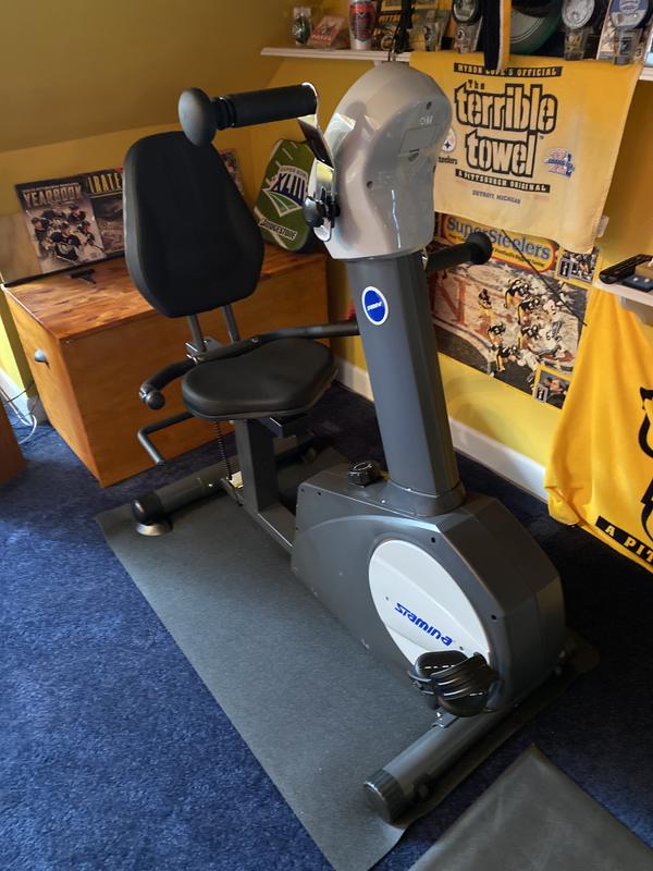 Stamina exercise bike online reviews