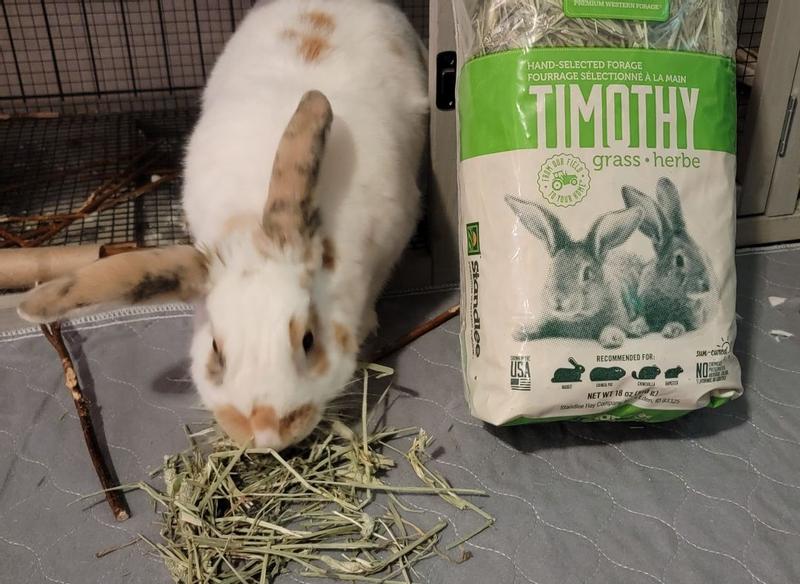 Standlee timothy shop hay for rabbits