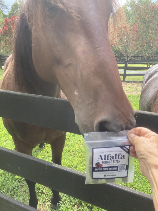 Caleb loves the Standlee Alfalfa Forage Bites
