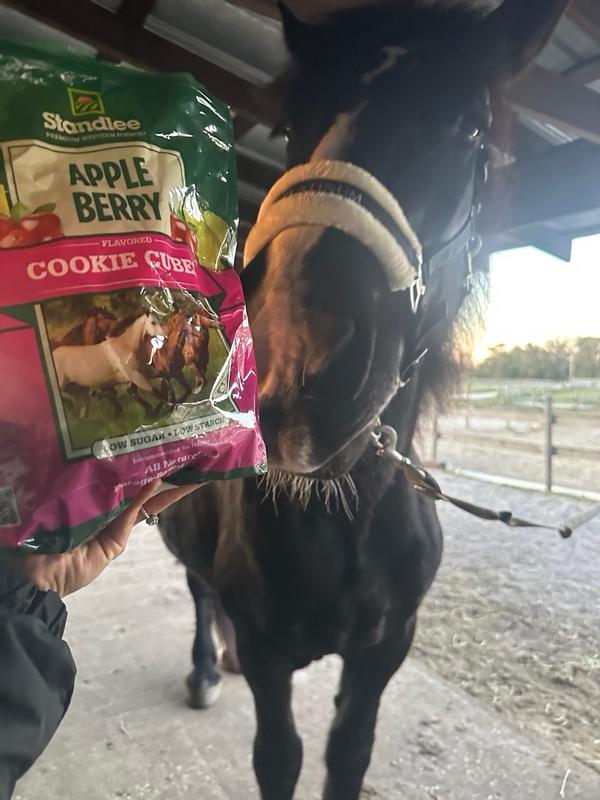 Horse treats cheap near me