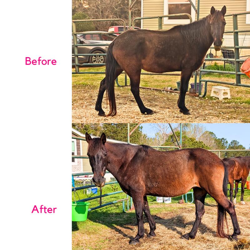 30 day feed trial
