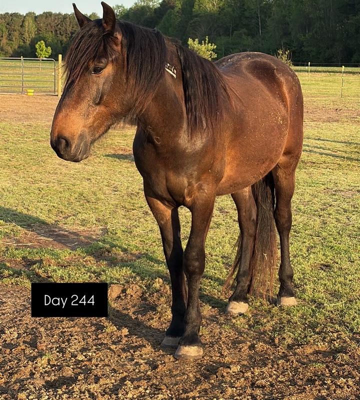 Day 1 vs now!