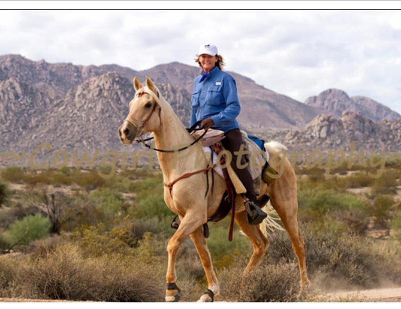Standlee HighCalorie Beet Pulp Pellets for Horses 40 lbs