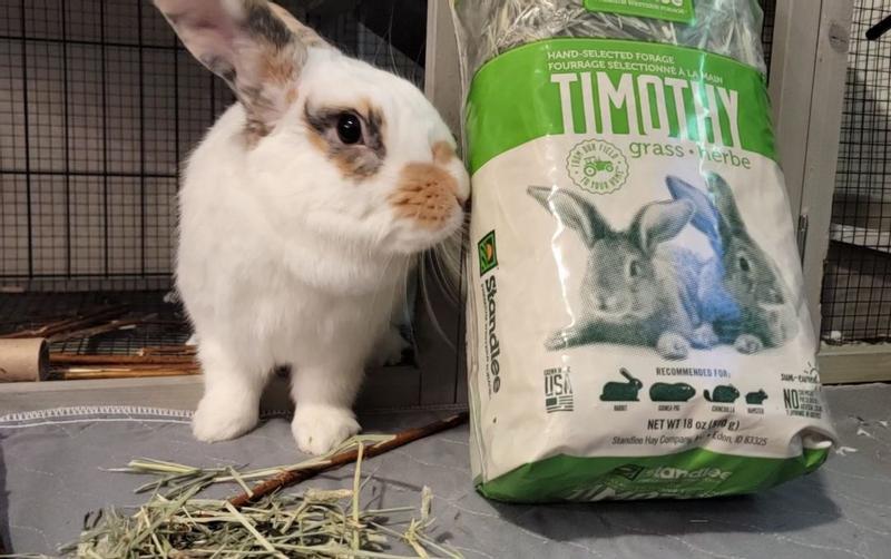 Standlee timothy hotsell hay for rabbits