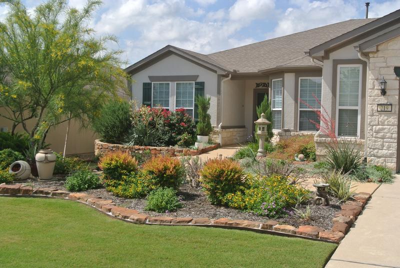 my yard in Georgetown, Texas