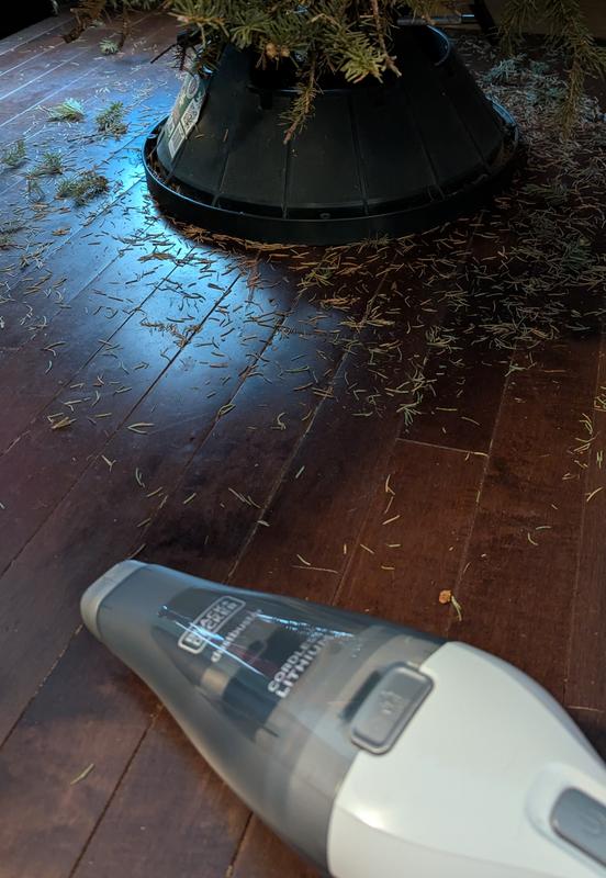 Before cleaning under tree