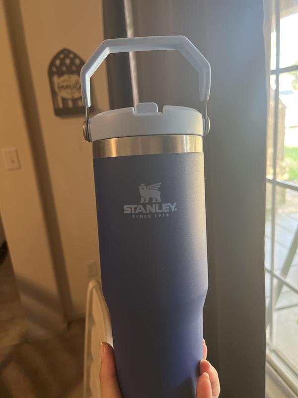 Stanley The Iceflow Flip Straw Tumbler 30 oz CHARCOAL Scuffs Dent See  Photos