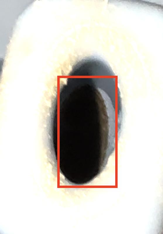 Photo submitted with review of product